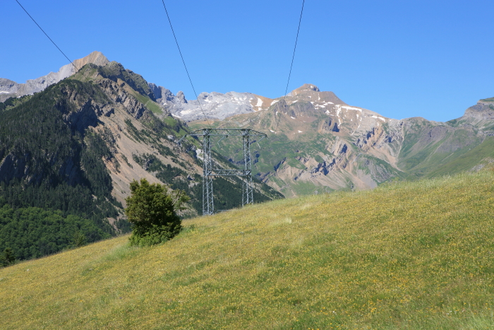 IMG_2667