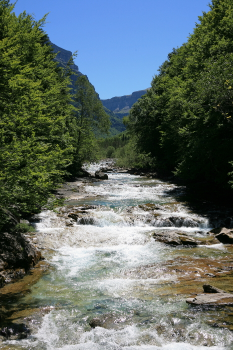 IMG_3057